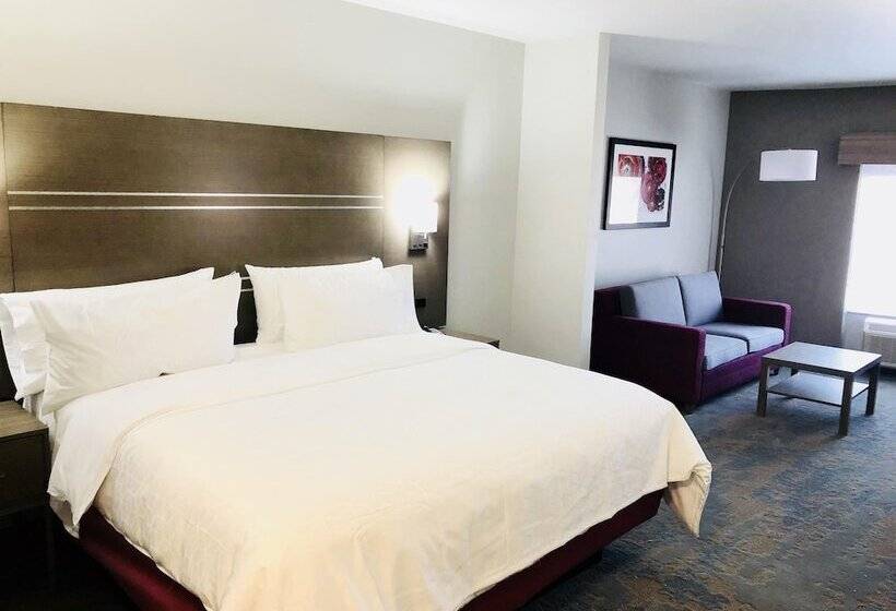 套房, Holiday Inn Express & Suites Memphis Arpt Elvis Presley Blv, An Ihg