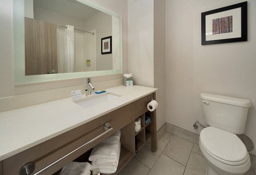 适合残疾人士使用的套间, Holiday Inn Express & Suites Memphis Arpt Elvis Presley Blv, An Ihg