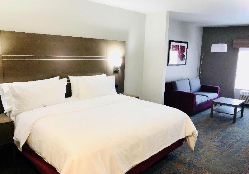 带大床的套房, Holiday Inn Express & Suites Memphis Arpt Elvis Presley Blv, An Ihg