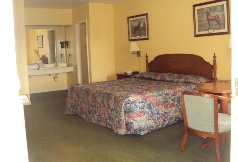 Стандартный Номер Кровать Кинг, Executive Inn