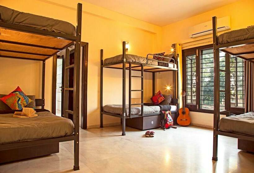 Кровать в Общей Комнате, Zostel South Delhi   Hostel