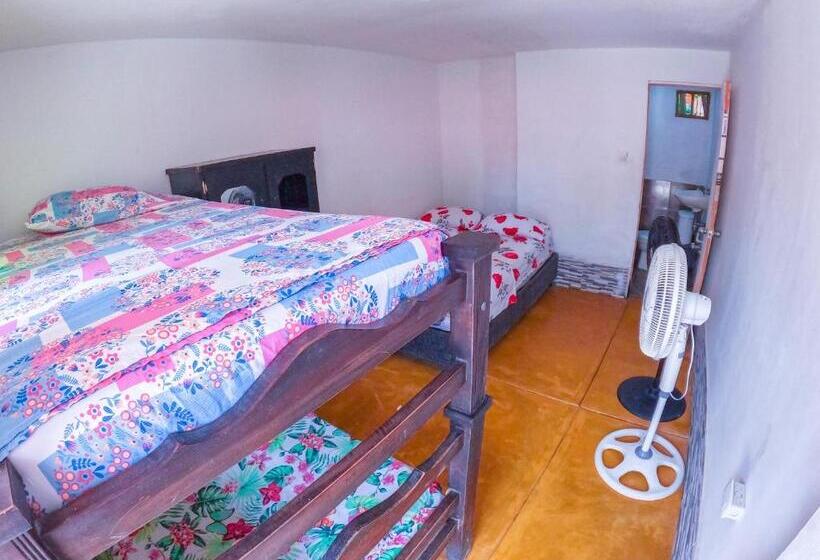 غرفة إقتصادية رباعية, Palomino Hostel