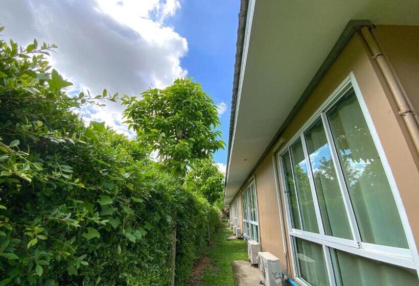استودیوی لوکس, Sunee View