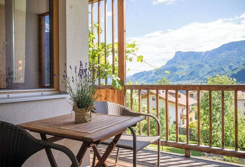 Номер Superior, Biohotel Theiner S Garten