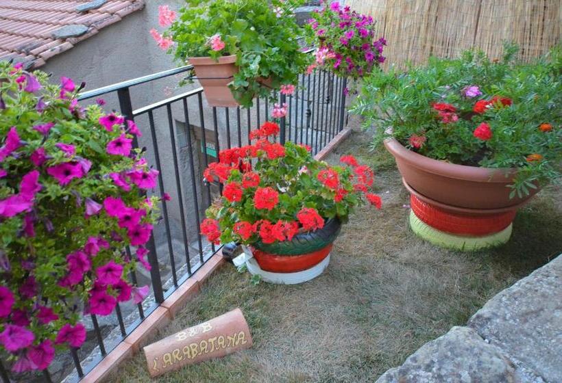 Апартаменты 1 Спальня, B&b L'arabatana
