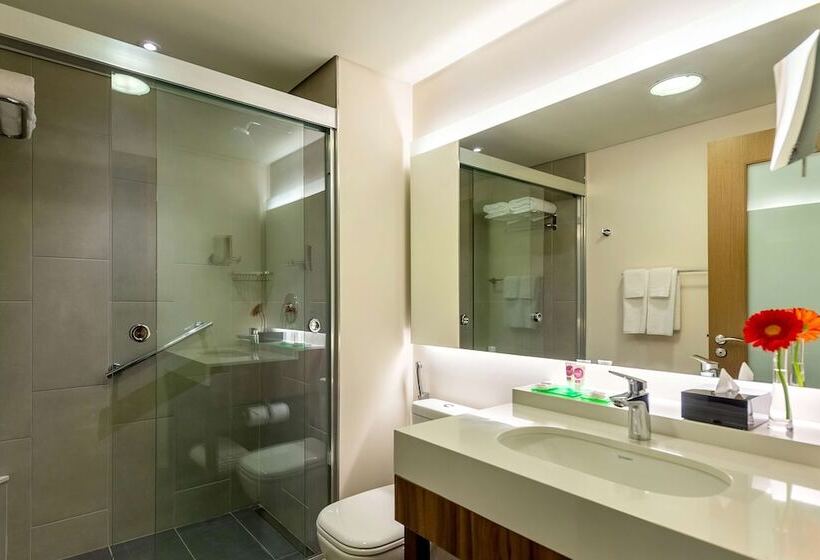 Номер Стандарт Двуспальная Кровать Вид на Море, Hyatt Place Macae