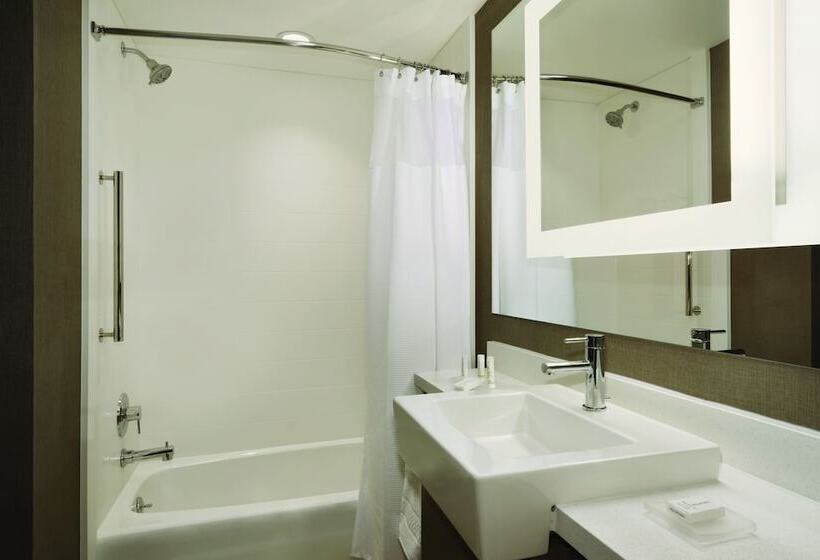 장애인을 위한 스위트, Springhill Suites By Marriott Allentown Bethlehem/center Valley