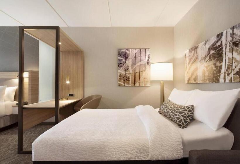 스위트 킹사이즈 침대, Springhill Suites By Marriott Allentown Bethlehem/center Valley