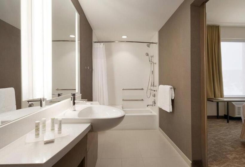 스위트, Springhill Suites By Marriott Allentown Bethlehem/center Valley