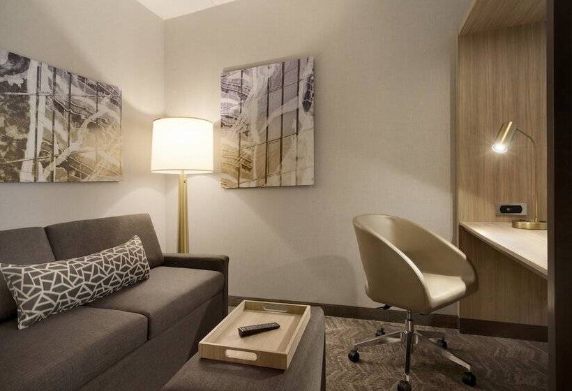 스위트, Springhill Suites By Marriott Allentown Bethlehem/center Valley
