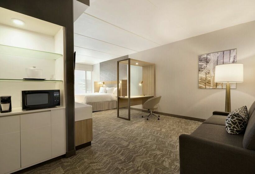 스위트, Springhill Suites By Marriott Allentown Bethlehem/center Valley