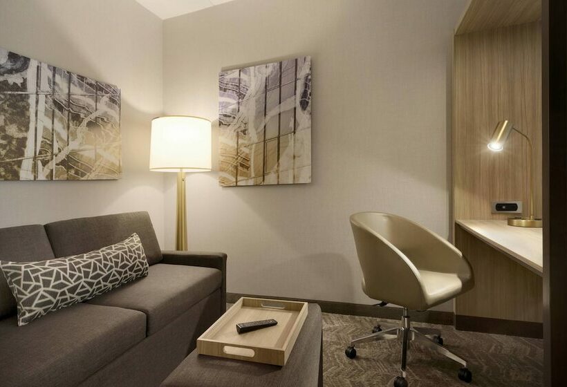 스위트, Springhill Suites By Marriott Allentown Bethlehem/center Valley