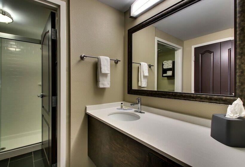 标准工作室, Staybridge Suites   Rock Hill, An Ihg