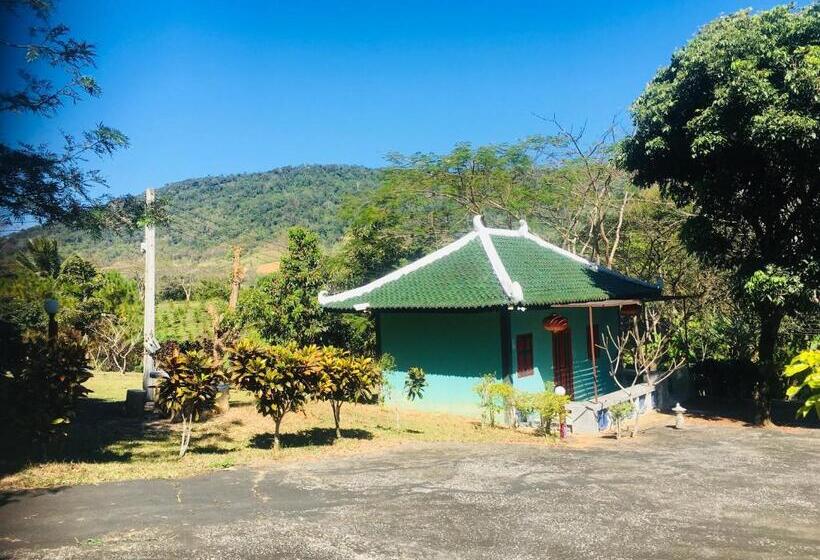 Бунгало Superior, The Natural Yurt Resort @ Khao Kho