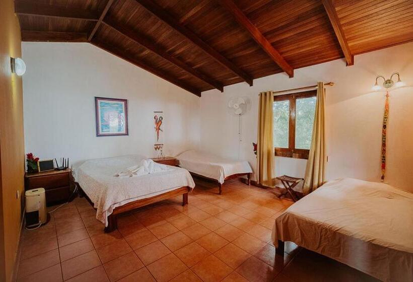 Апартаменты 1 Спальня Вид на Бассейн, Domos Mirador Romantic Private Honeymoon Glamping