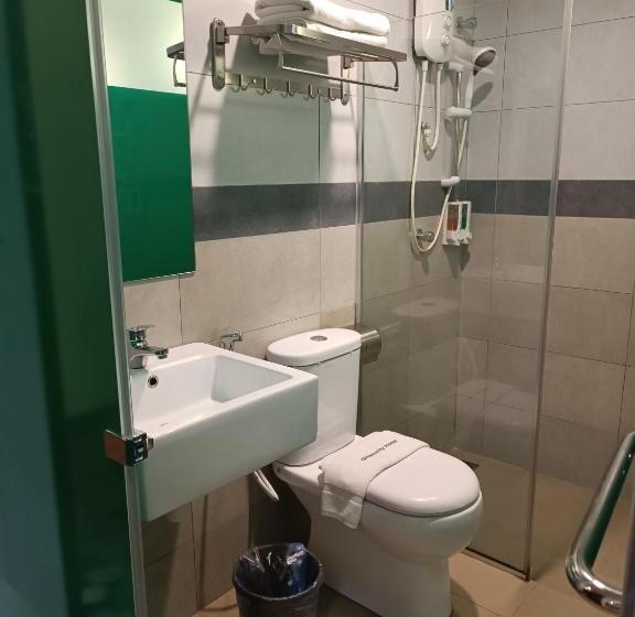 Номер Deluxe Кровать Кинг, Greencity