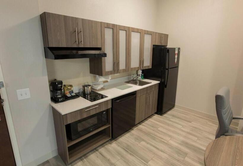 Студия Стандарт, Candlewood Suites Mcdonough, An Ihg