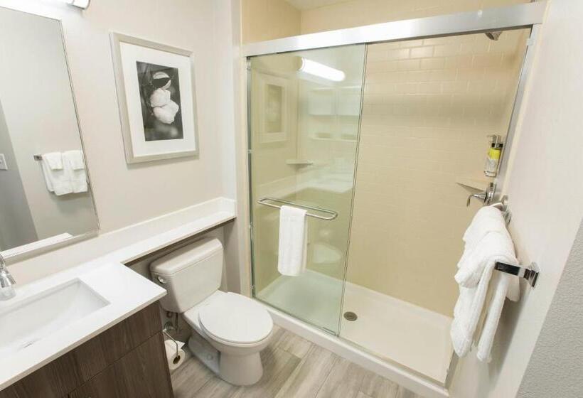 キングサイドベッドのスタンダードワンルーム, Candlewood Suites Mcdonough, An Ihg