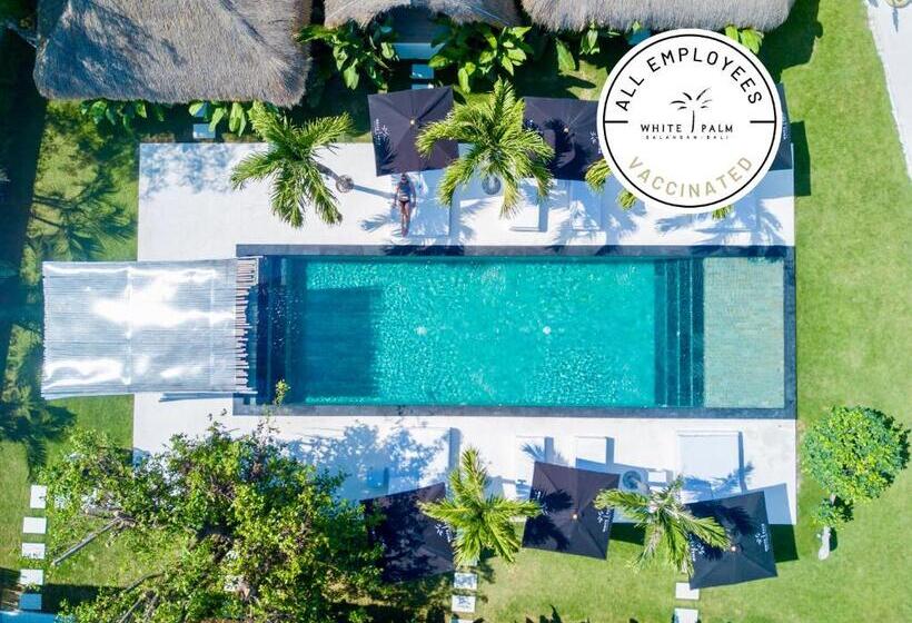 Номер Стандарт Вид на Бассейн, White Palm Hotel Bali