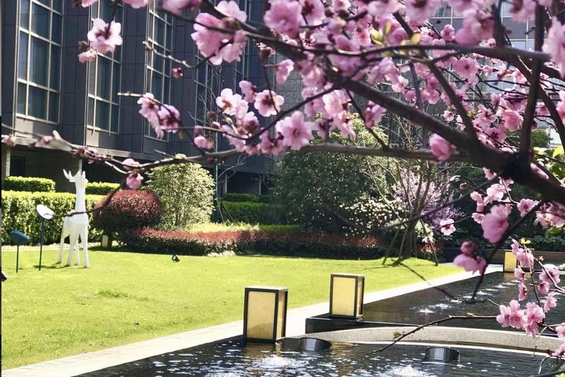 스탠다드 룸 킹사이즈 침대, Sheraton Shanghai Chongming