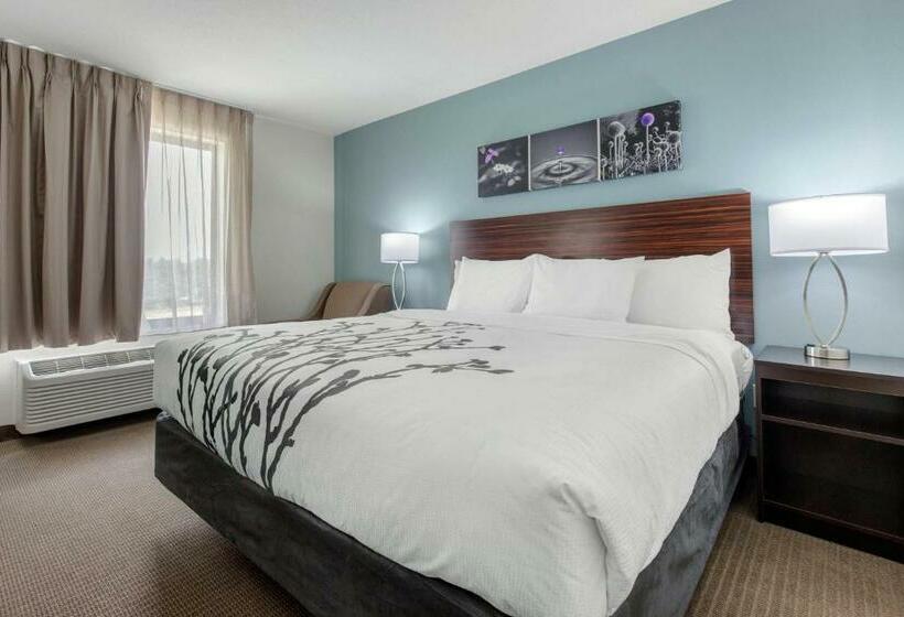 스탠다드 룸 킹사이즈 침대, Sleep Inn & Suites