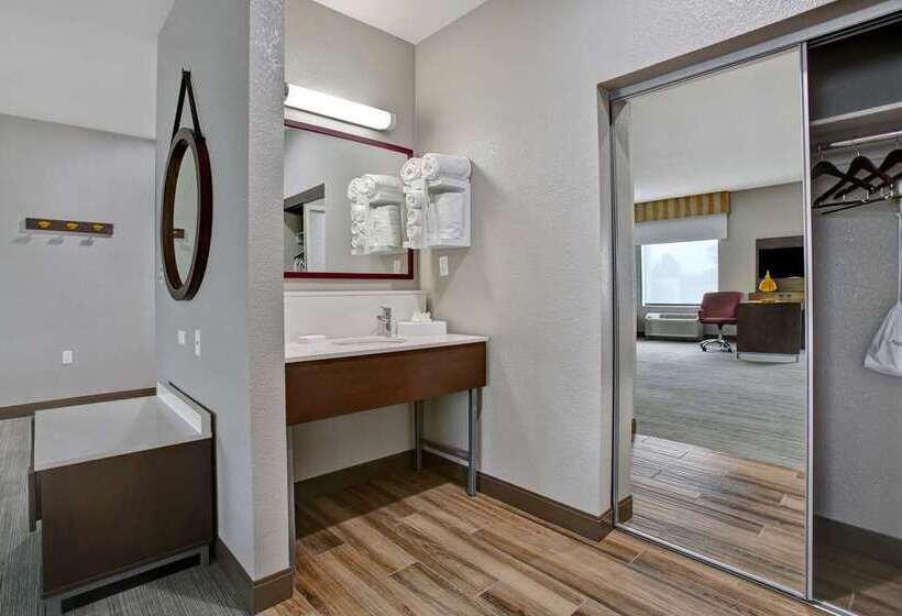 带大床的套房, Hampton Inn & Suites Reno/sparks