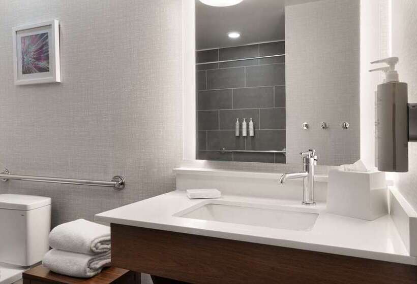 带大床的套房, Hampton Inn & Suites Reno/sparks