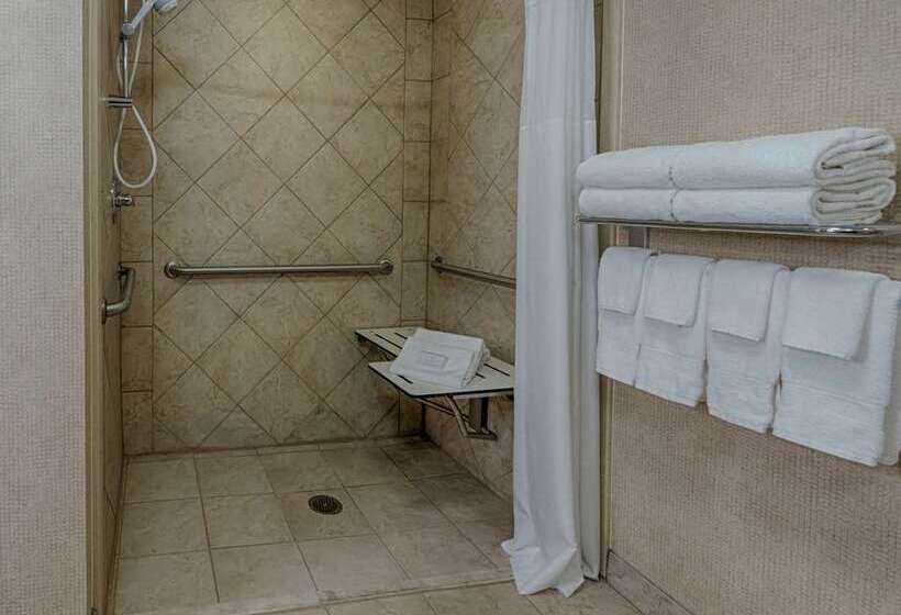 带大床的套房, Hampton Inn & Suites Reno/sparks