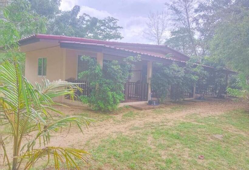 스탠다드 방갈로 정원 전망, Pranee Beach Bungalows