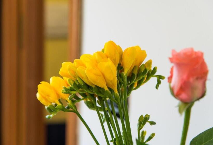 스탠다드 룸, Guest House Park Valmontone
