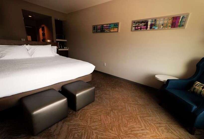 스탠다드 룸 킹사이즈 침대, Hilton Garden Inn Tampa Wesley Chapel, Fl