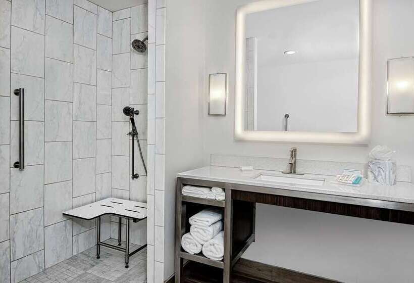 Стандартный Номер Кровать Кинг, Hilton Garden Inn Tampa Wesley Chapel, Fl