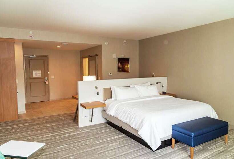 스탠다드 룸 킹사이즈 침대, Hilton Garden Inn Tampa Wesley Chapel, Fl