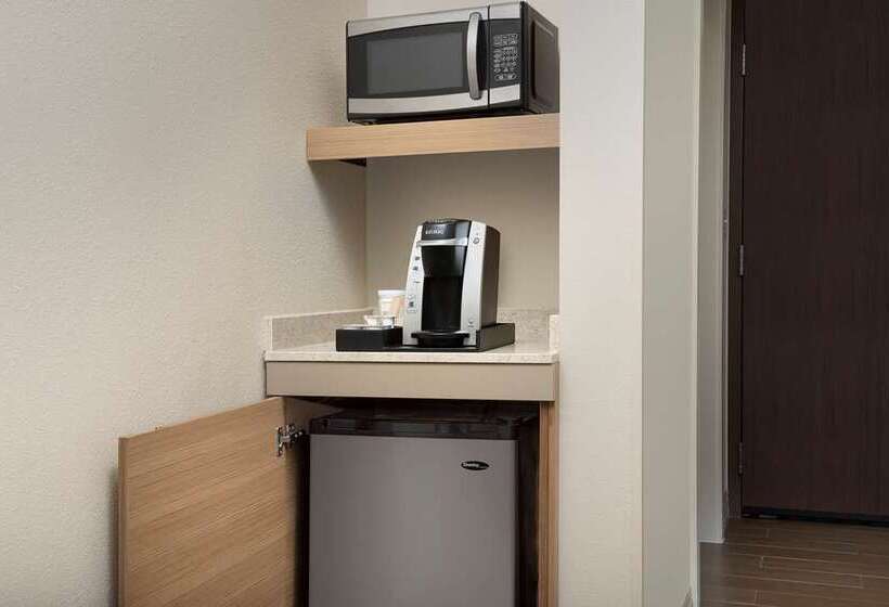 Номер Премиум, Hilton Garden Inn Tampa Wesley Chapel, Fl