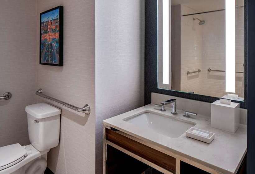 Номер Deluxe, Hilton Garden Inn Tampa Wesley Chapel, Fl