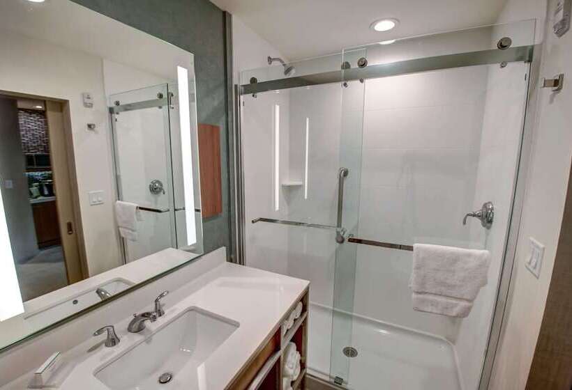 Номер Премиум, Hilton Garden Inn Tampa Wesley Chapel, Fl