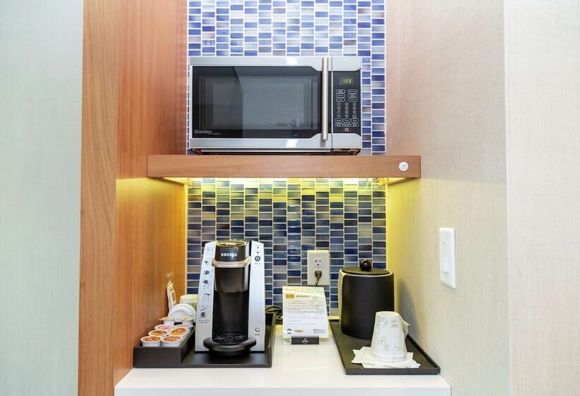 프리미엄 룸, Hilton Garden Inn Tampa Wesley Chapel, Fl