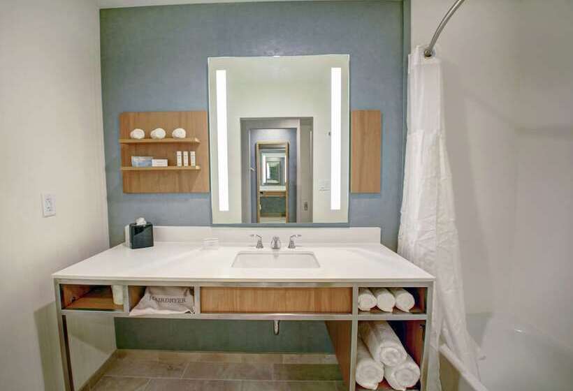 Номер Deluxe, Hilton Garden Inn Tampa Wesley Chapel, Fl