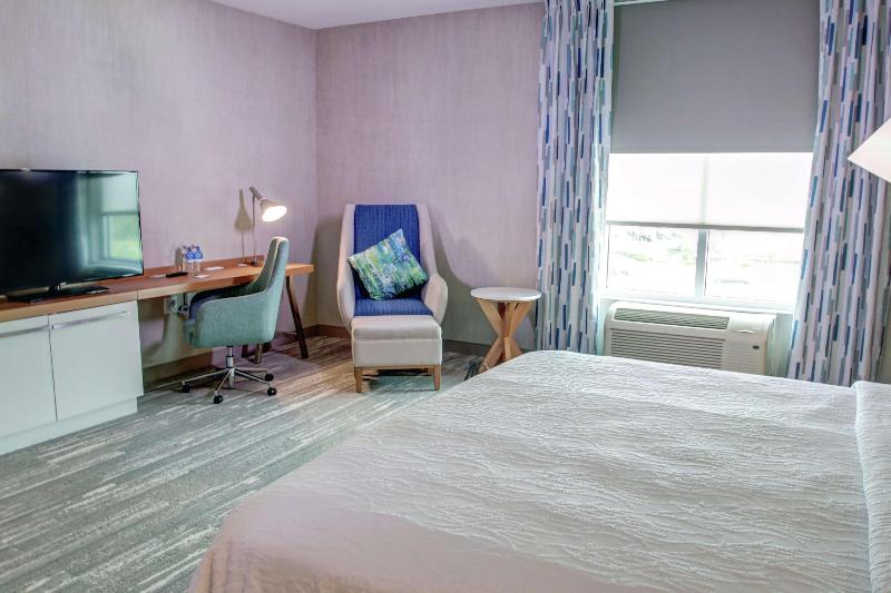 스탠다드 룸 킹사이즈 침대, Hilton Garden Inn Tampa Wesley Chapel, Fl