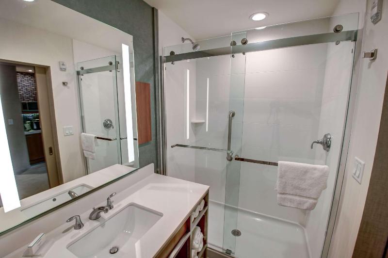 Стандартный Номер Кровать Кинг, Hilton Garden Inn Tampa Wesley Chapel, Fl