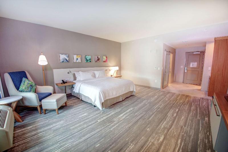 Стандартный Номер Кровать Кинг, Hilton Garden Inn Tampa Wesley Chapel, Fl