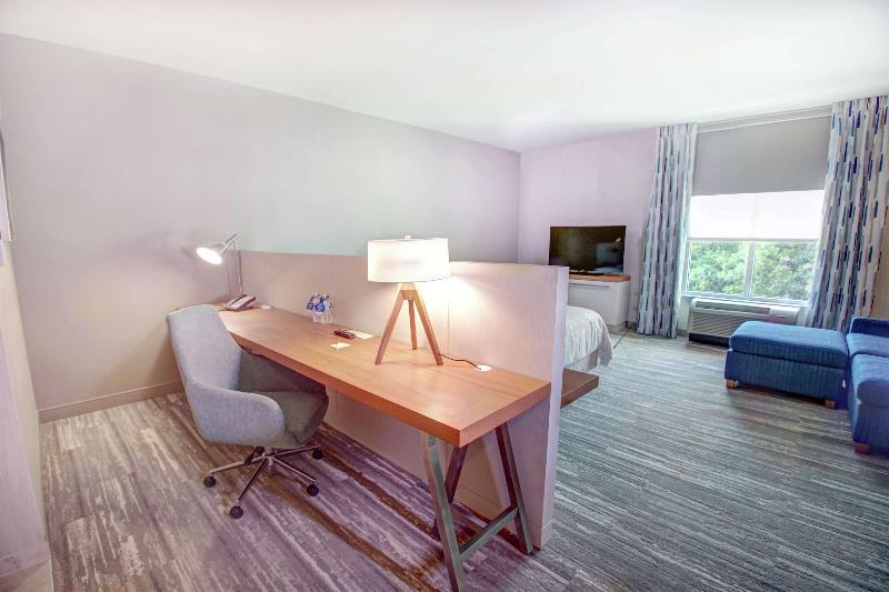 스탠다드 룸 킹사이즈 침대, Hilton Garden Inn Tampa Wesley Chapel, Fl