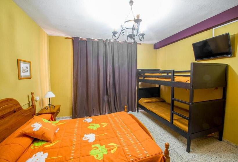 Четырехместный Номер Стандарт, La Casona Del Pinar Albergue