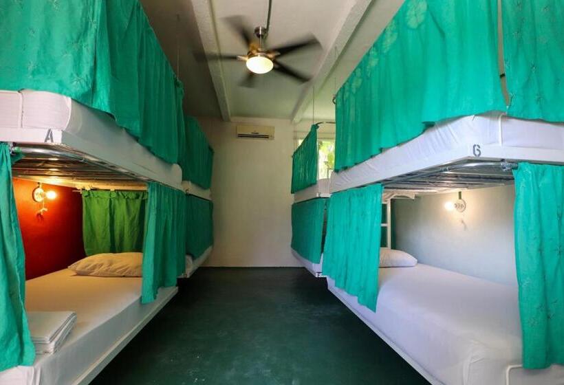 Geteiltes Mehrbettzimmer, Wabi Hostel
