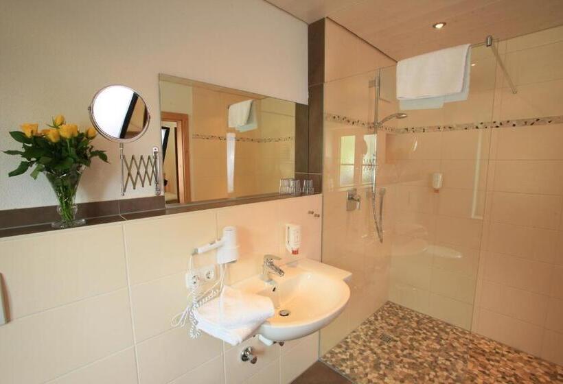 스탠다드 룸, Pension Schweizerhaus Garni