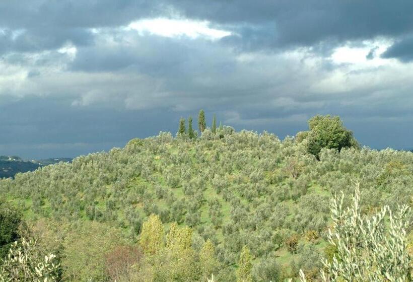 جناح دوبلكس, Il Borghetto Country Inn