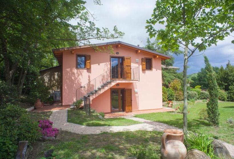 标准工作室, Agriturismo Il Cavicchio
