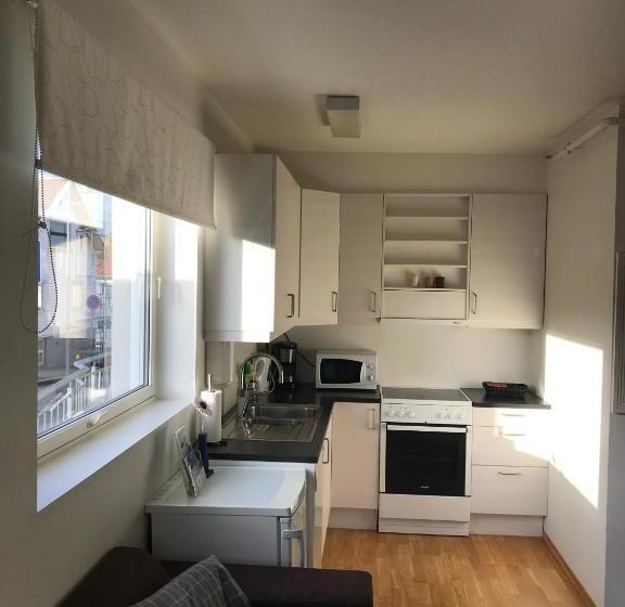 Апартаменты 1 Спальня, Parken Terrasse Apartment