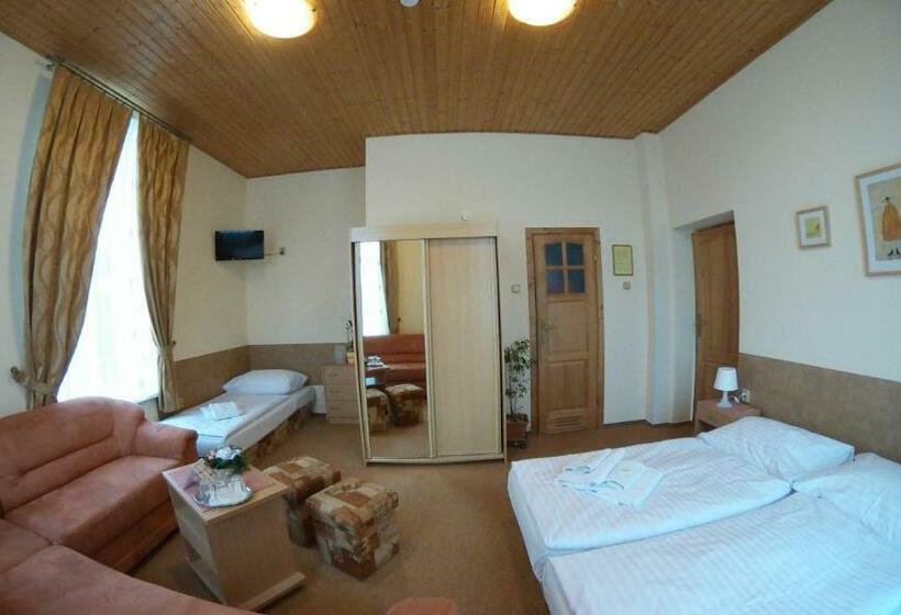 Номер Стандарт, Penzion Manderlak