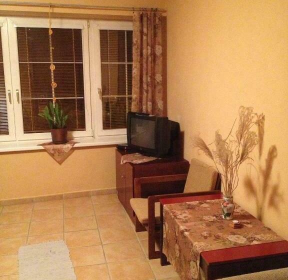Номер Стандарт, Asso Penzion